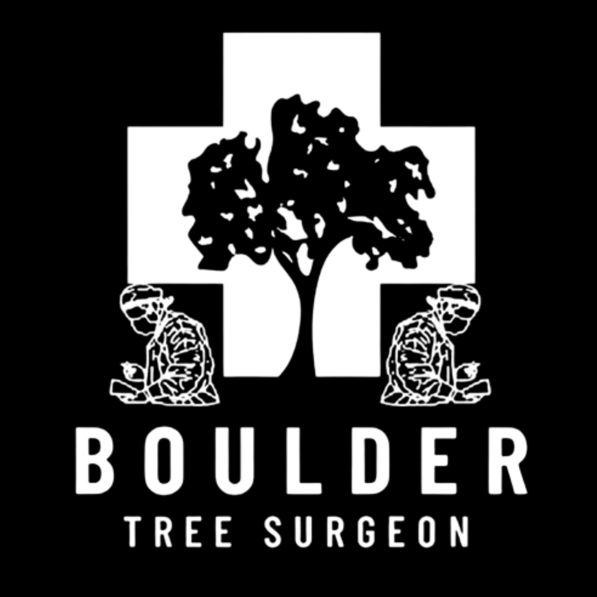 Boulder Tree Surgeon